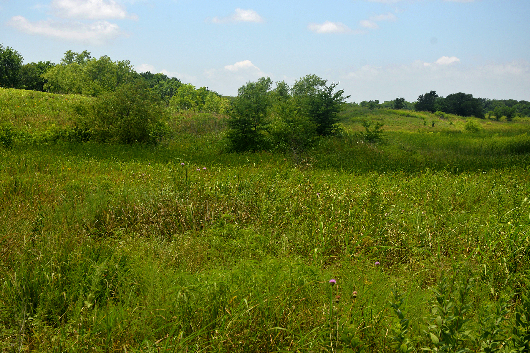 Texas ranchland suited for pond construction